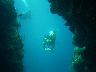 Menjangan Is. Bali