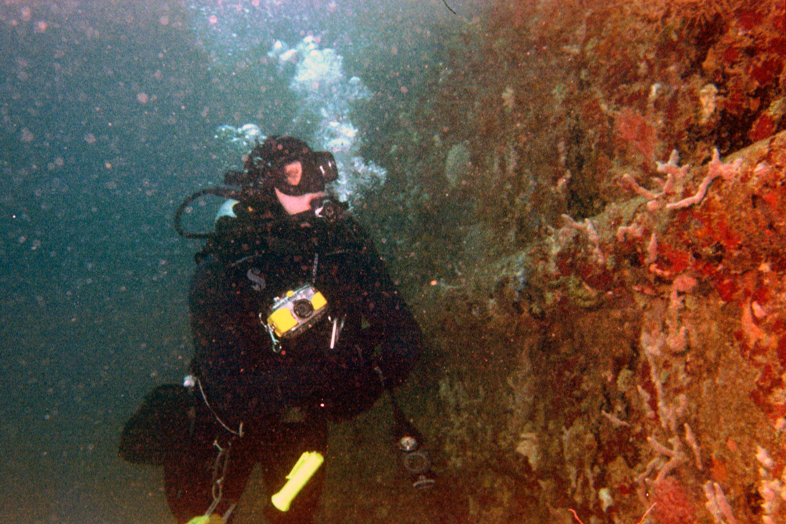 Mercy Jesus Wreck, Pompano, Beach, Fl