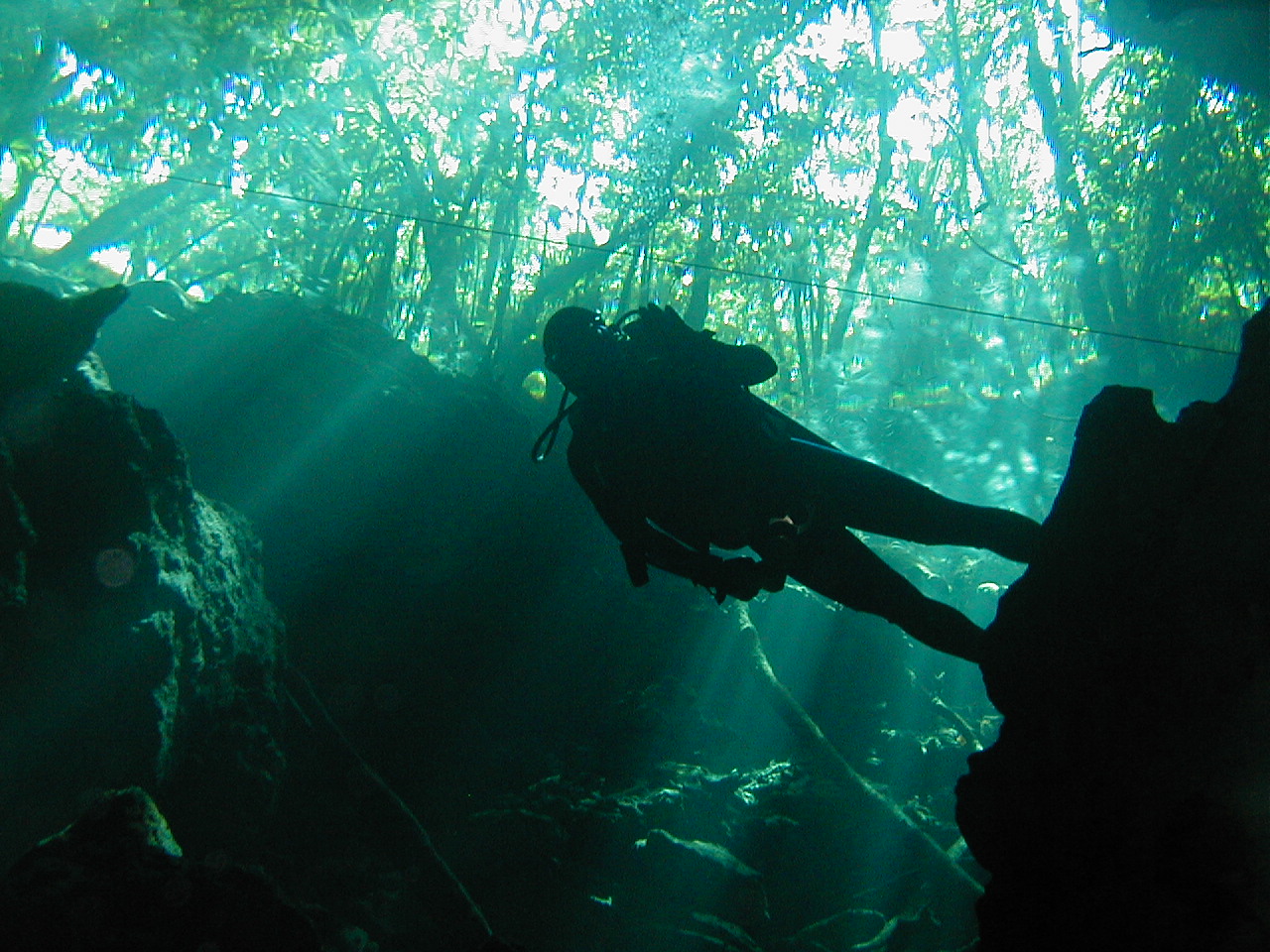 Mexico Cenote diving