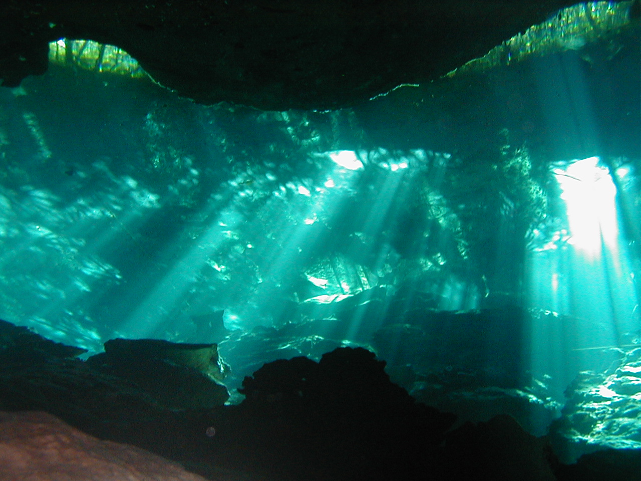 Mexico Cenote diving