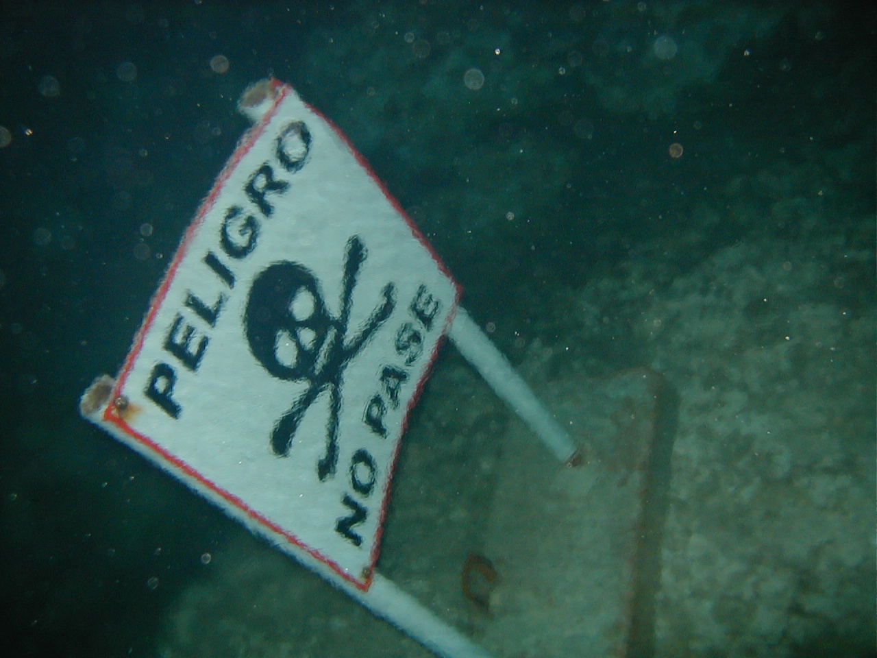 Mexico Cenote diving