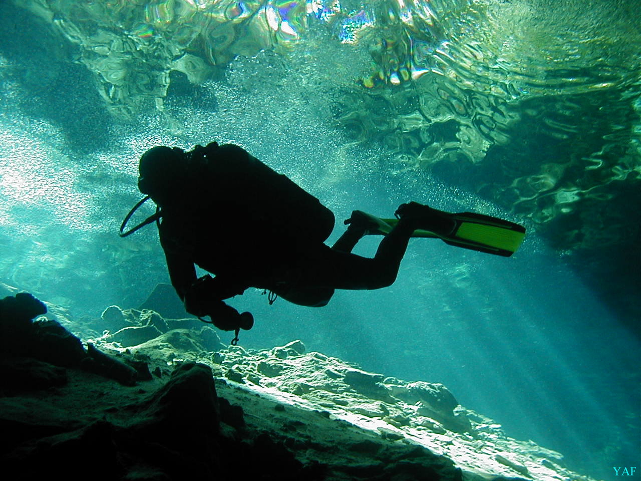 Mexico Cenote diving