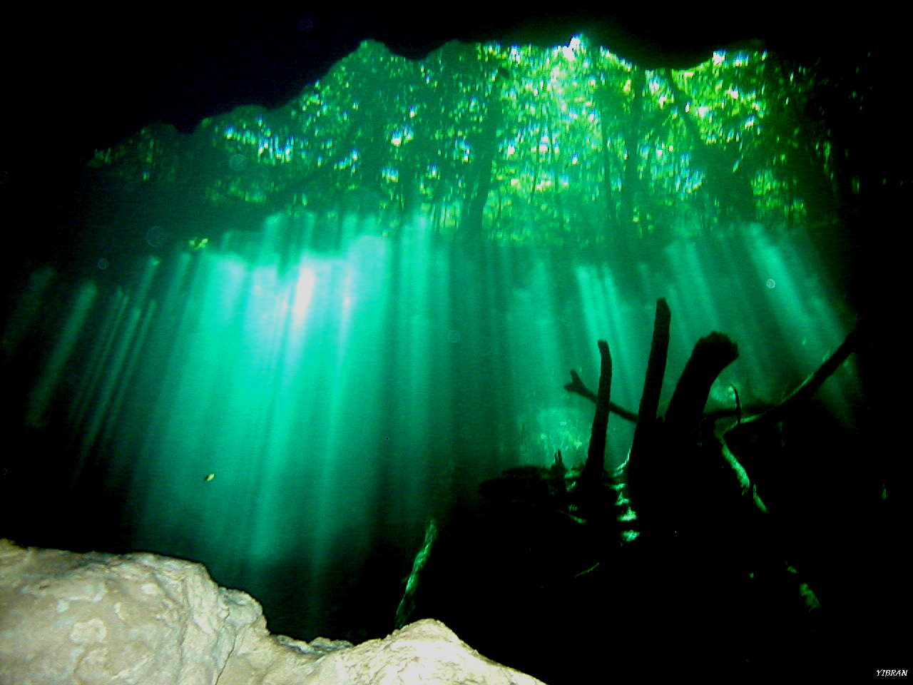 Mexico Cenote diving