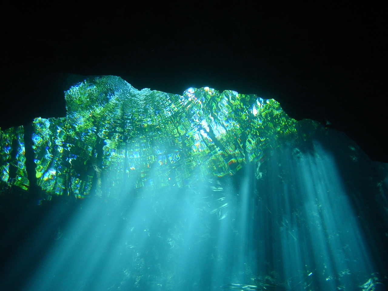 Mexico Cenote diving