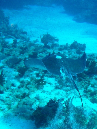 Mexico - Dives with Ben Mooney, Mayan Aqua Dives