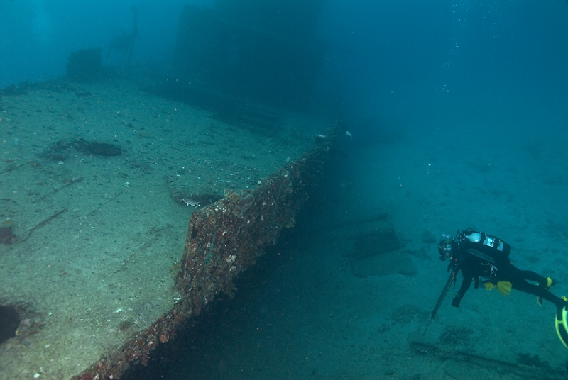 Michelle and the Ancient Mariner