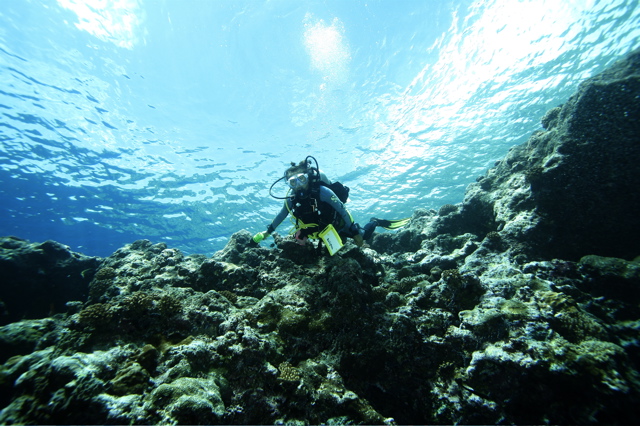 Micronesia