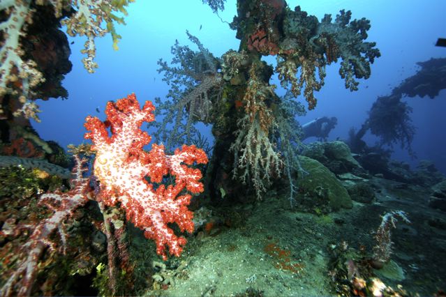 Micronesia