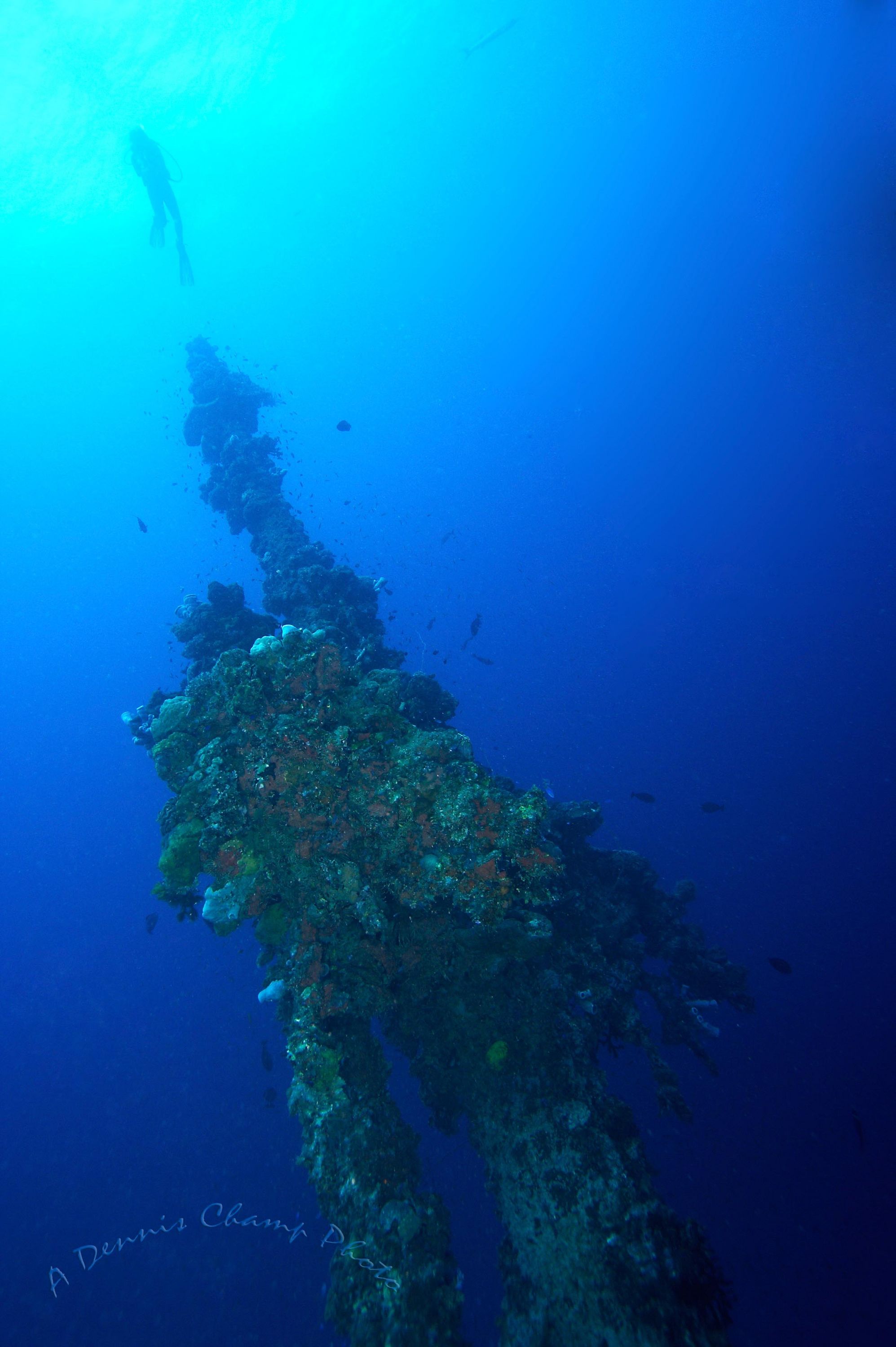 Micronesia