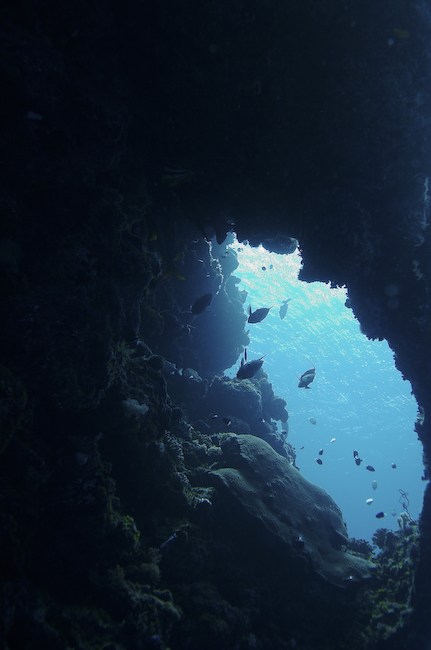 Micronesia