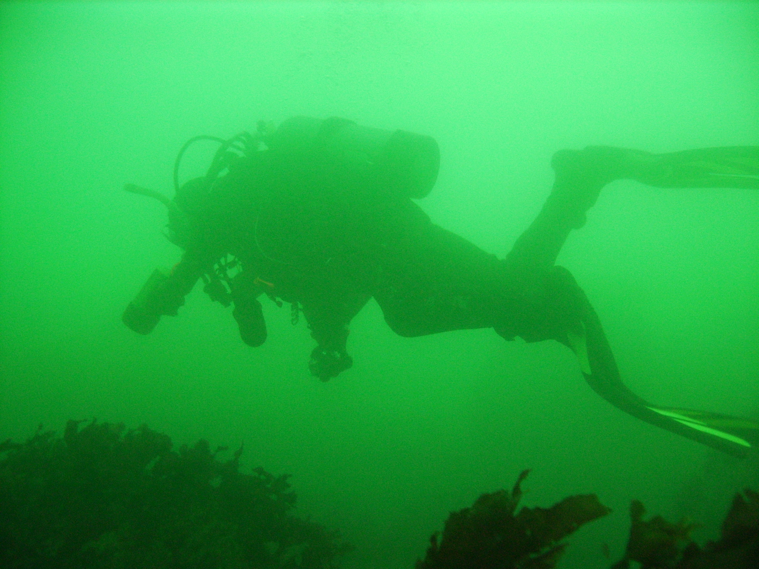 Mike in Puget Sound