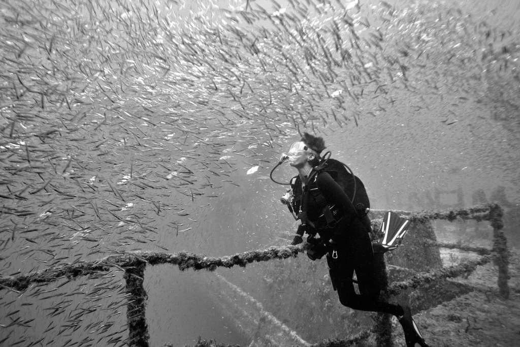 Minnow Ball on the Spiegel Grove