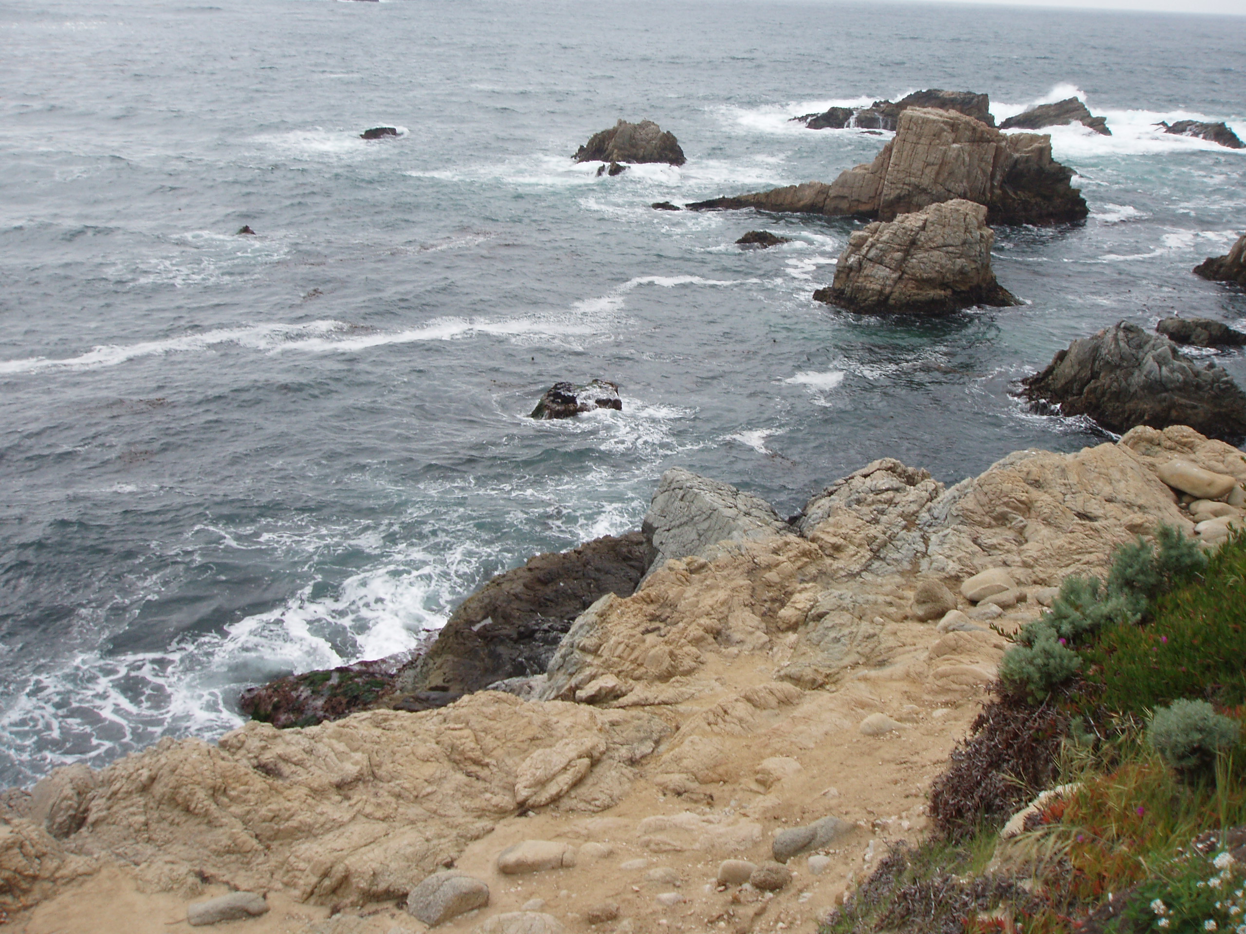 Moby Ling Cove divesite