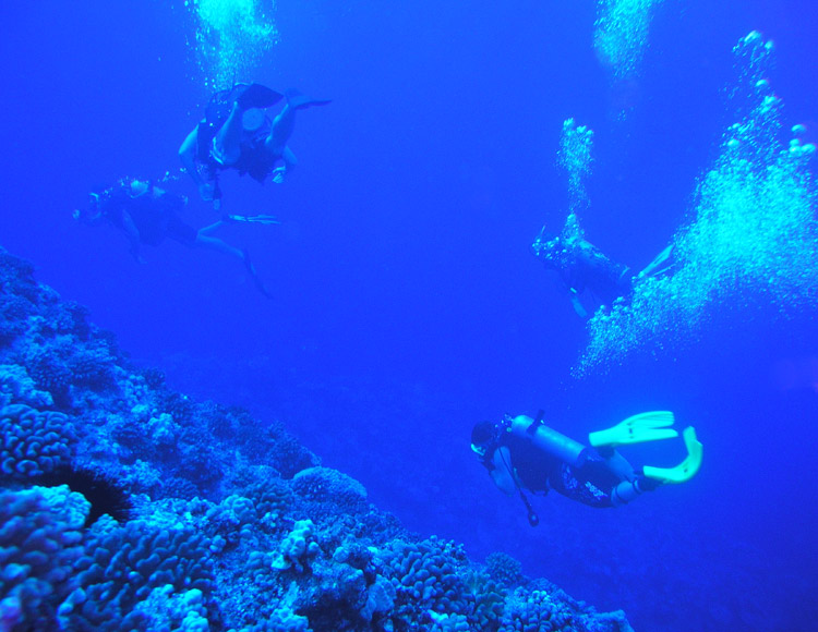 molokini_backside_wall_PB020007