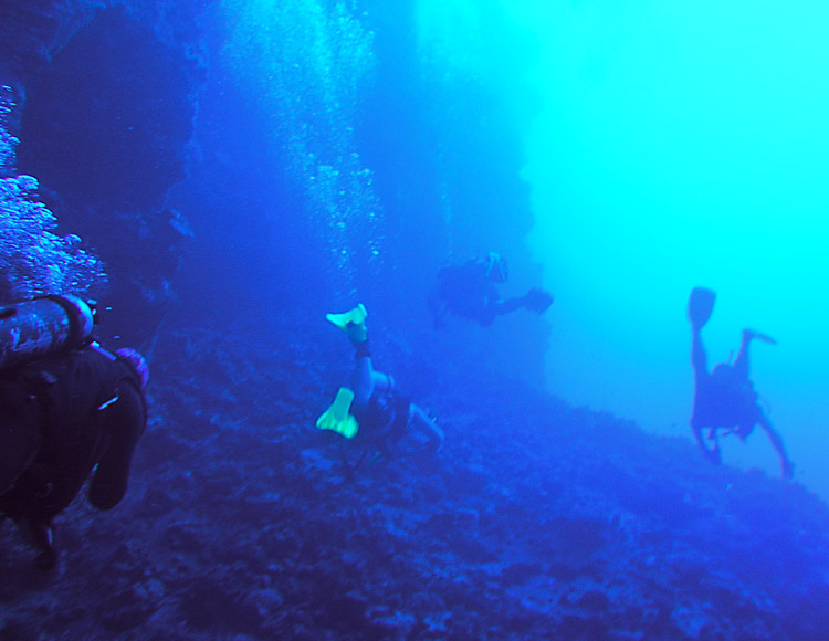 molokini_backside_wall_PB020011