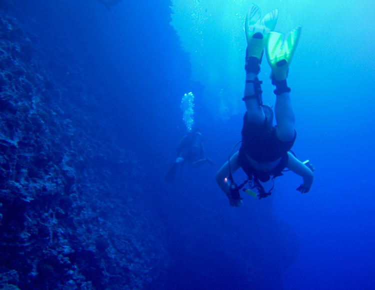 molokini_backside_wall_PB020020