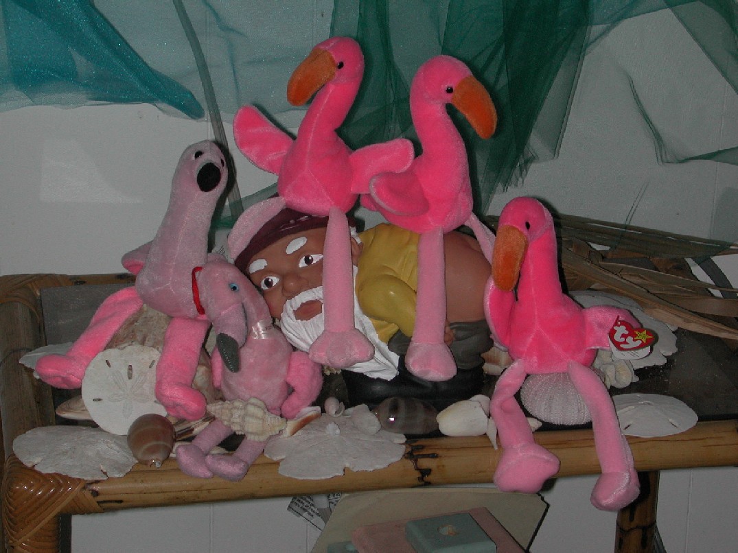 Moonie and the Flamingos in Paradise