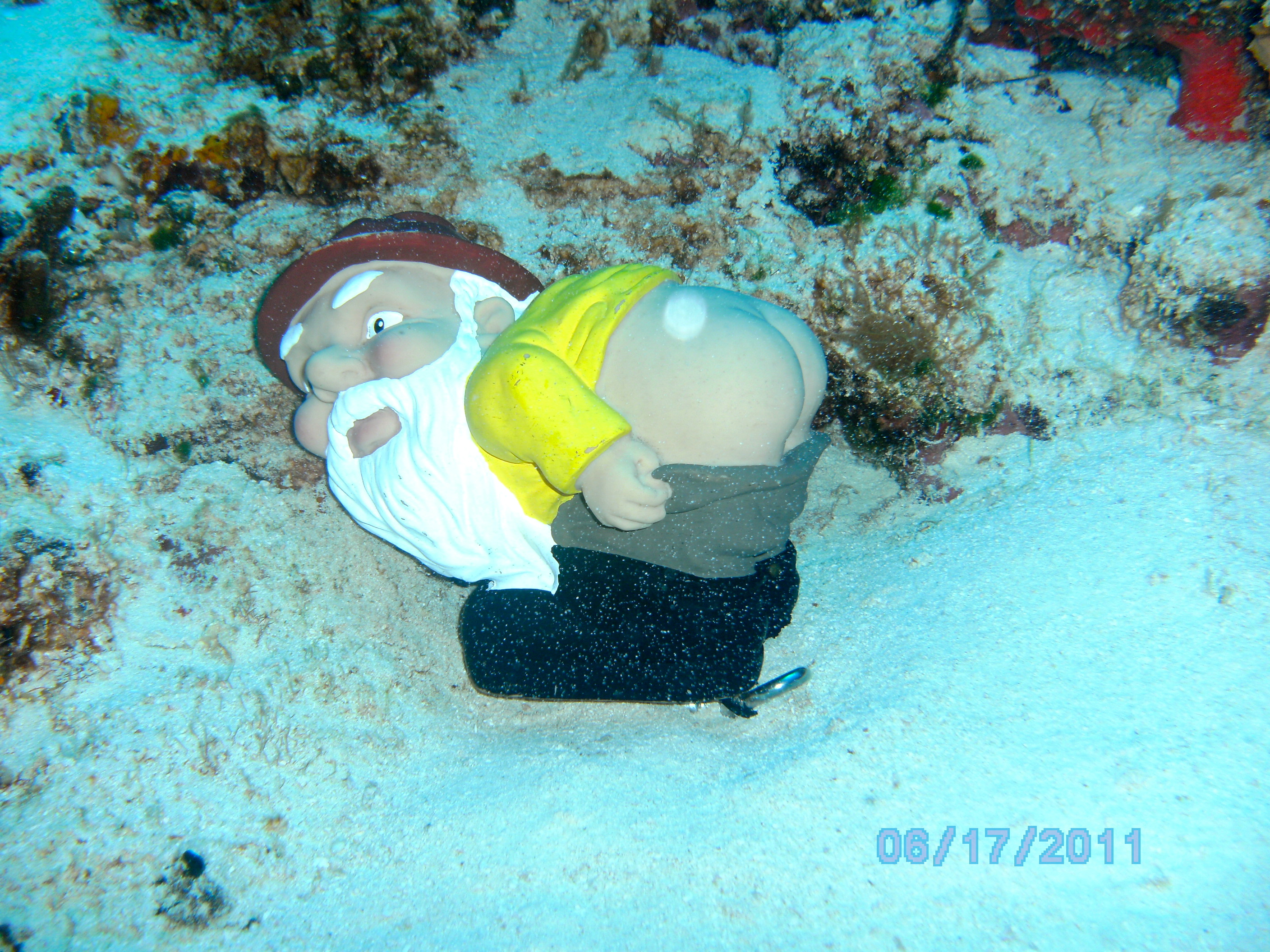 Moonie does Cozumel 2011