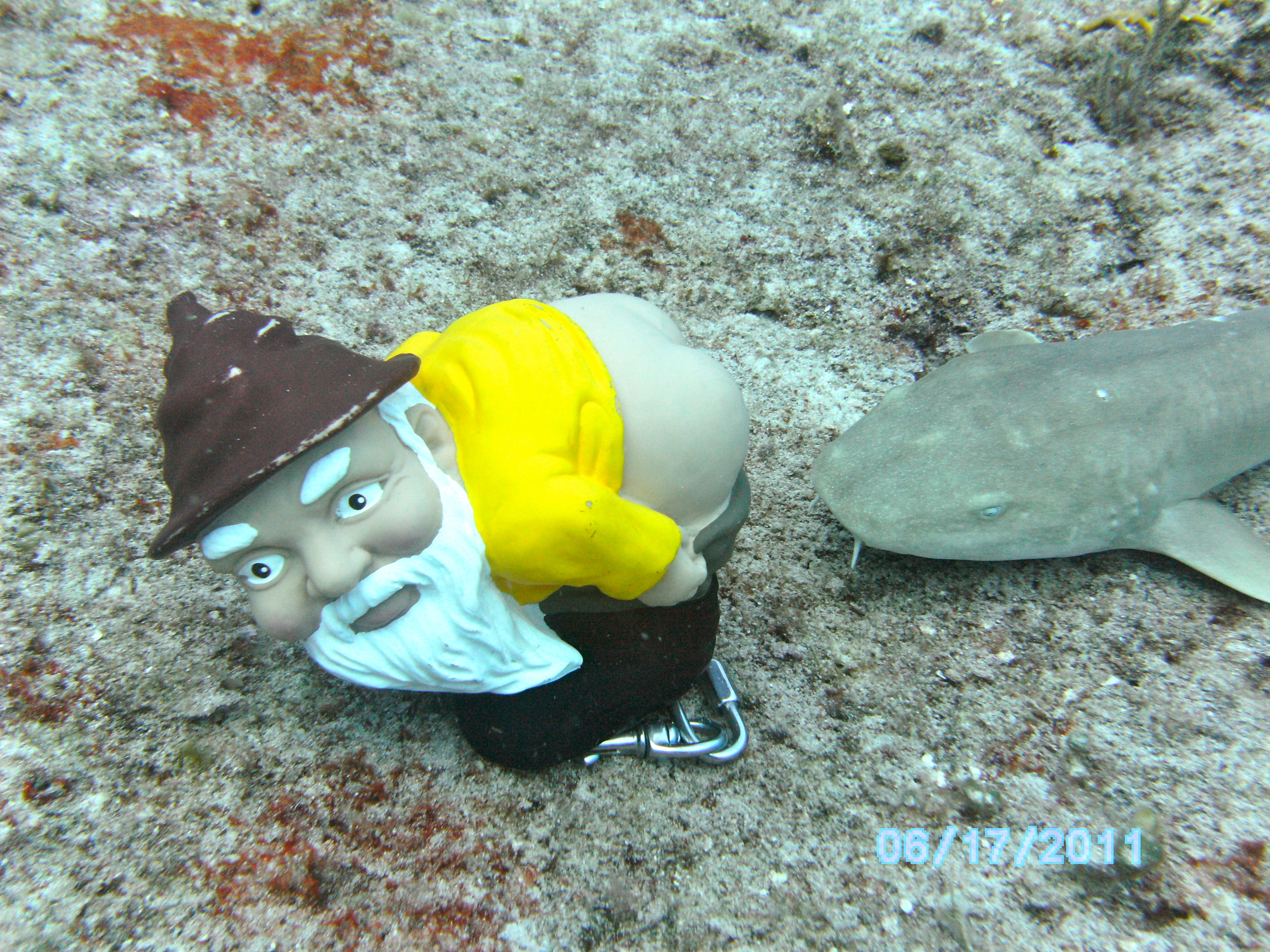 Moonie does Cozumel 2011