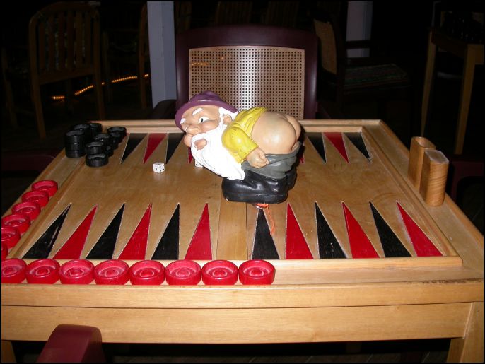 Moonie Playing BackGammon