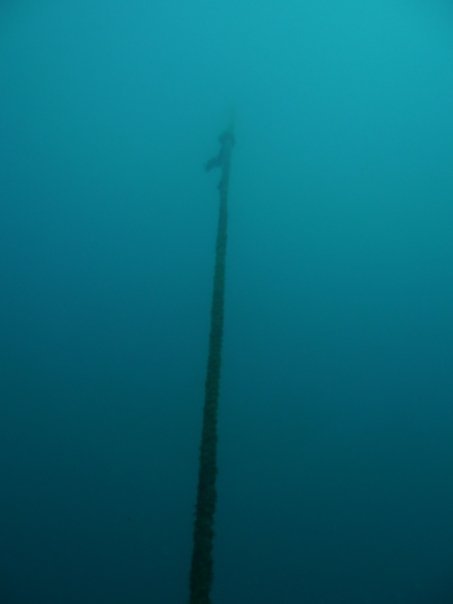 Mooring Line from HMNZS Waikato