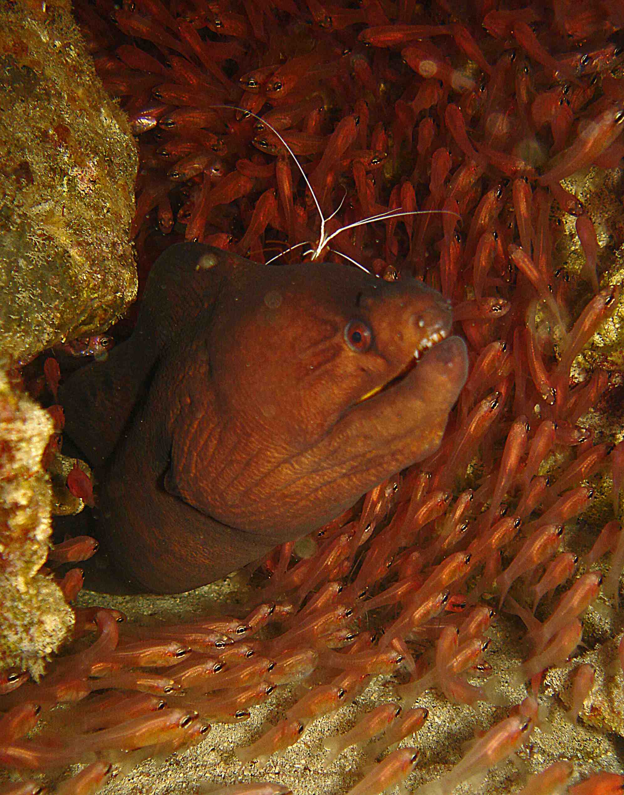 Moray at Algodoeiro by Fonsky