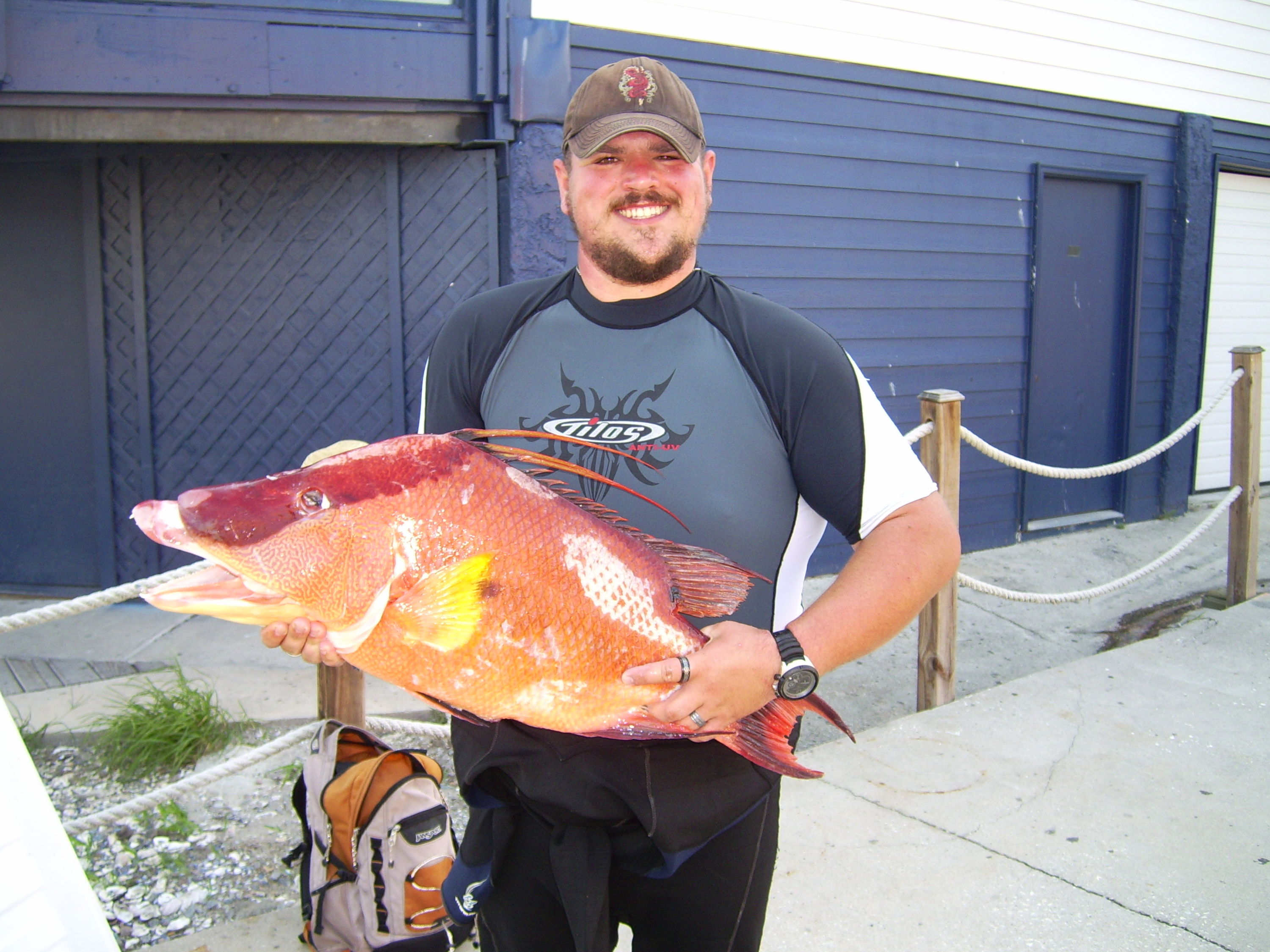 MScuba360 with Hogfish