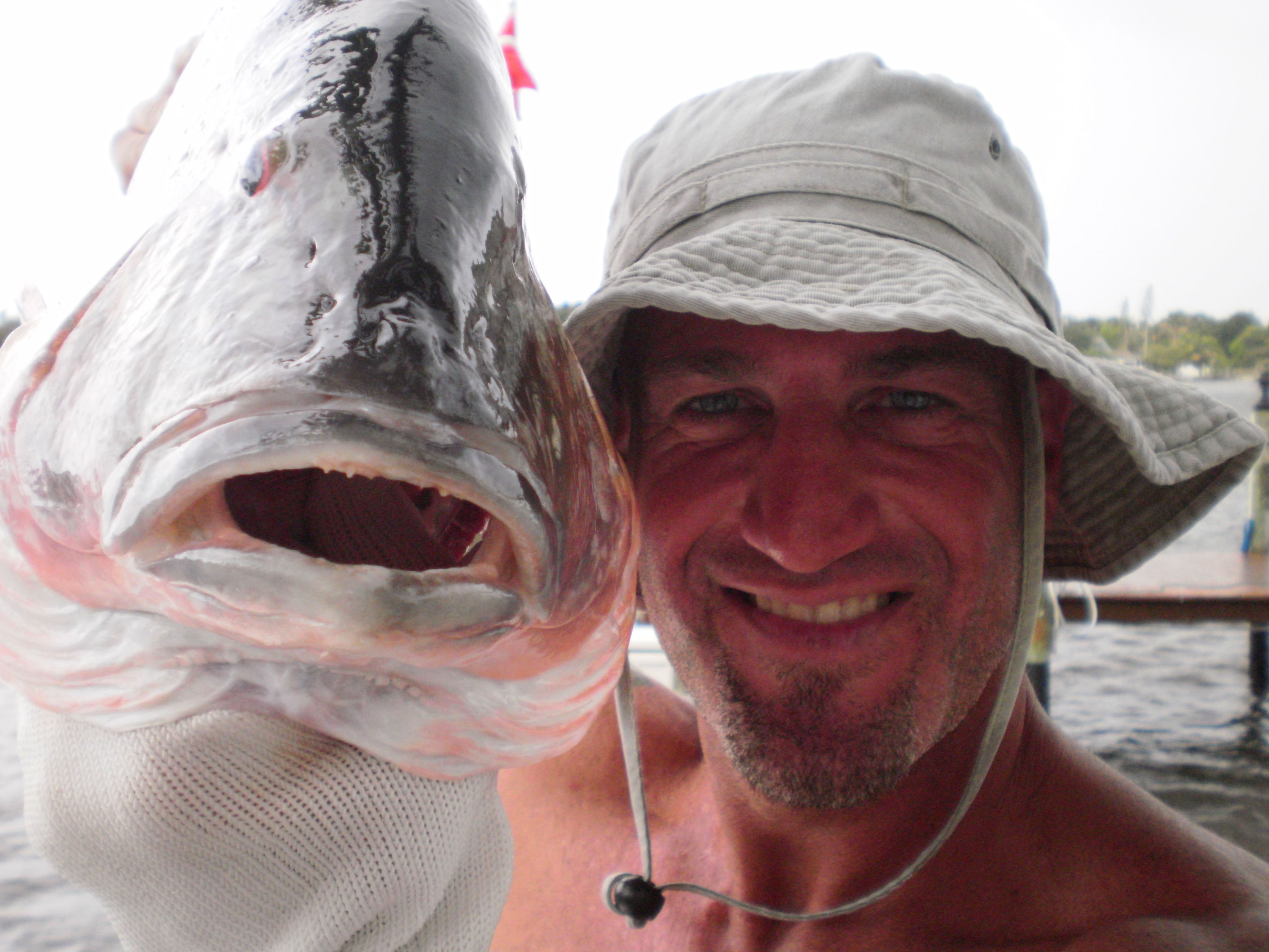 Mutton Snapper