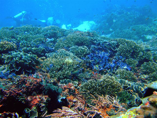 MY BEST OF SCUBA - BALI