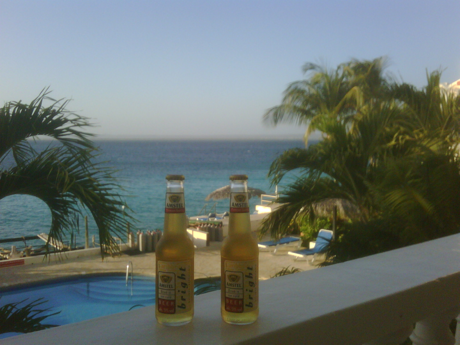 My Bonaire Friends