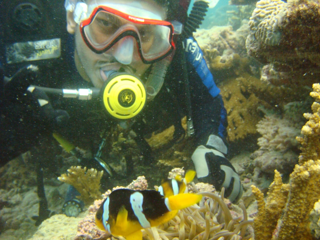 my brother in Janna island with a clown fish