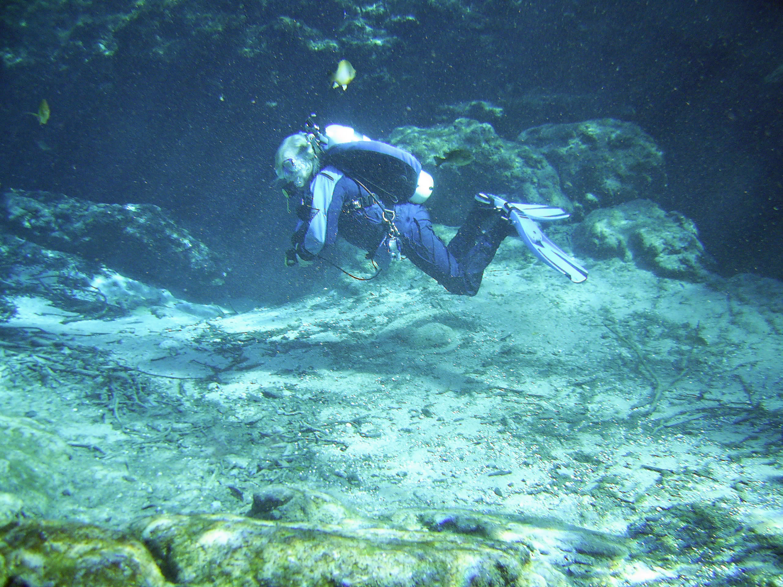 My dive at Ginnie Springs
