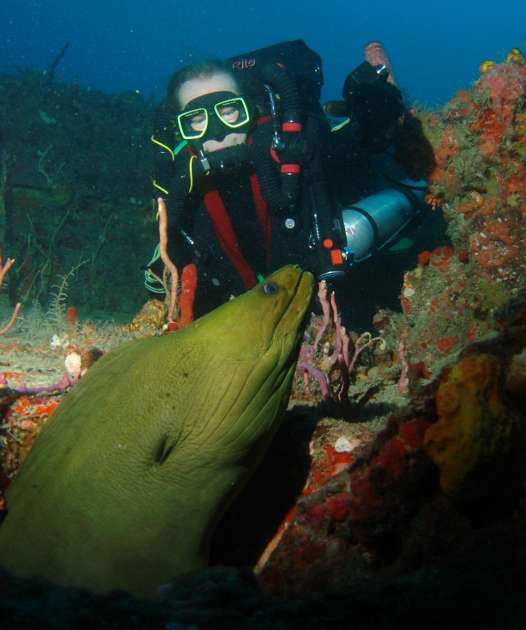 My Dive Buddy on Wreck of the Jim Atria With Eel