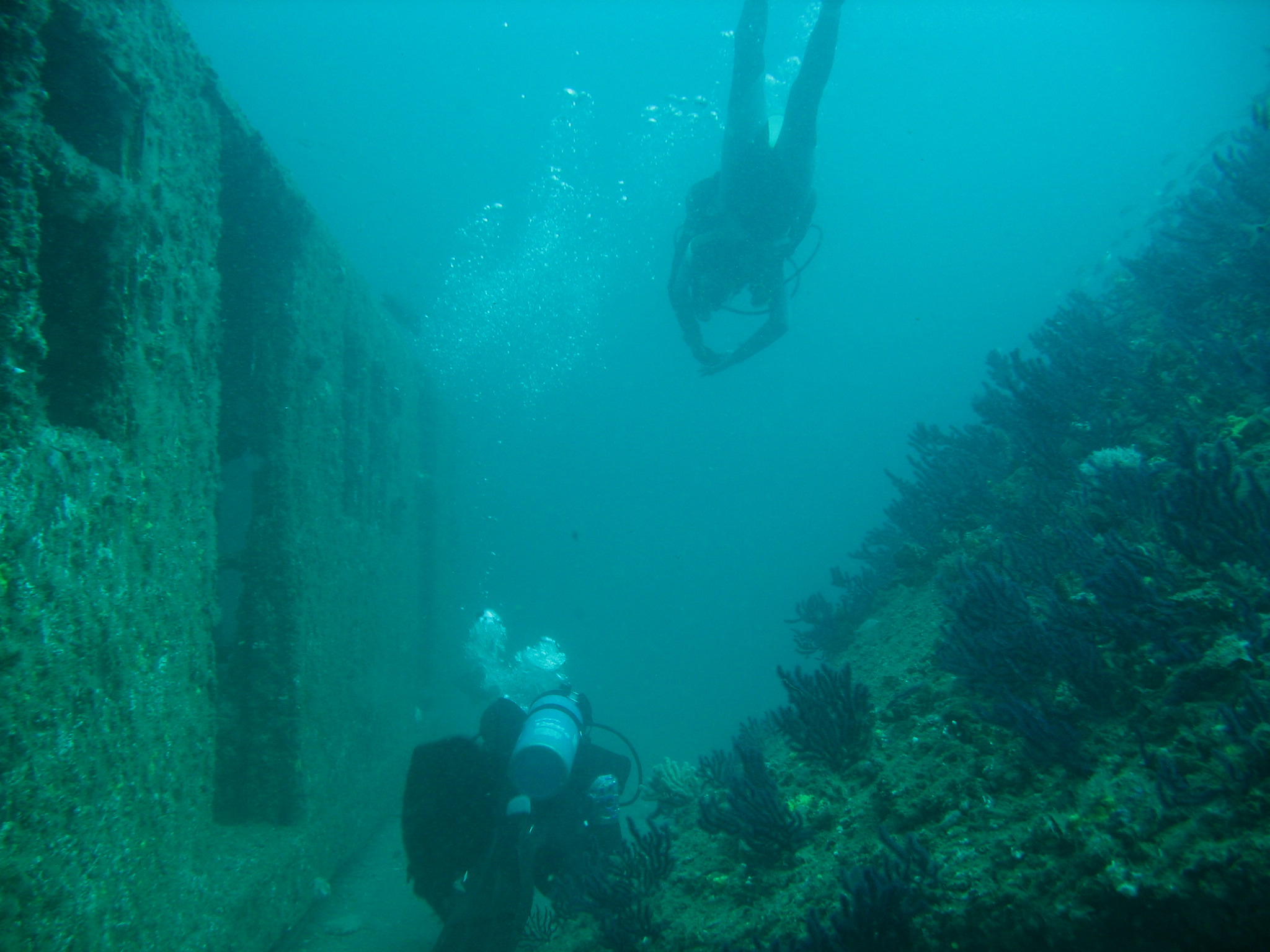 Myrtle beach scuba