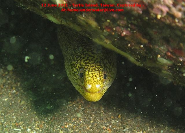 N/E coast - Taiwan