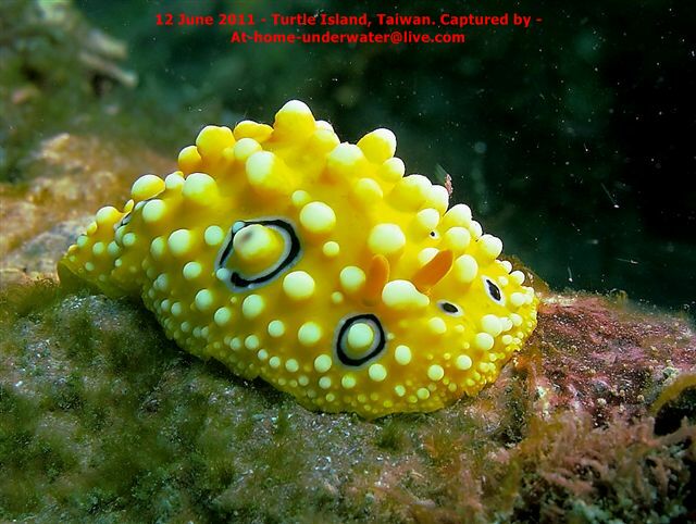 N/E coast - Taiwan