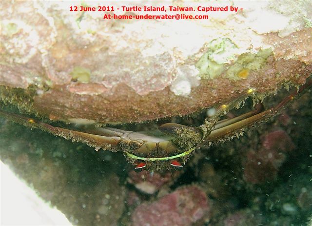 N/E coast - Taiwan