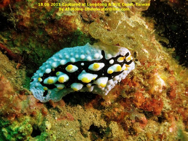 N/E coast - Taiwan