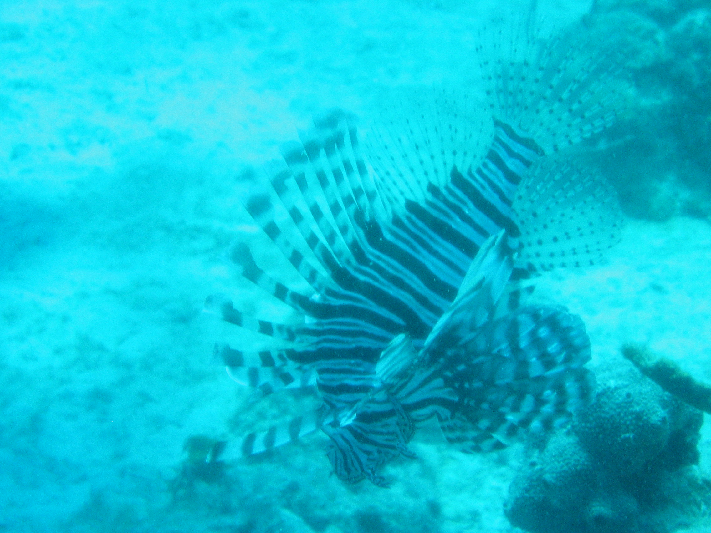 Nassau, Bahamas