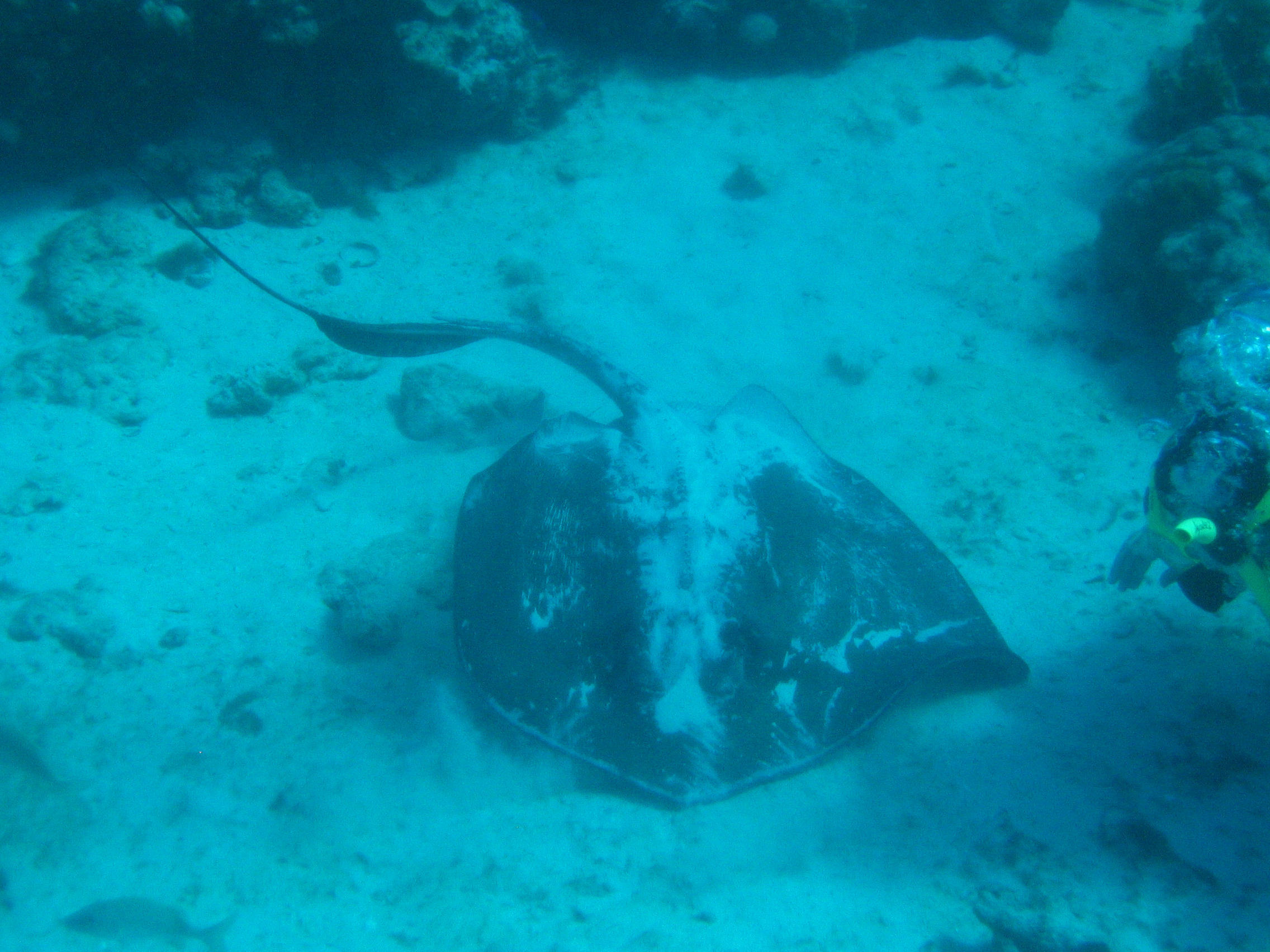 Nassau, Bahamas