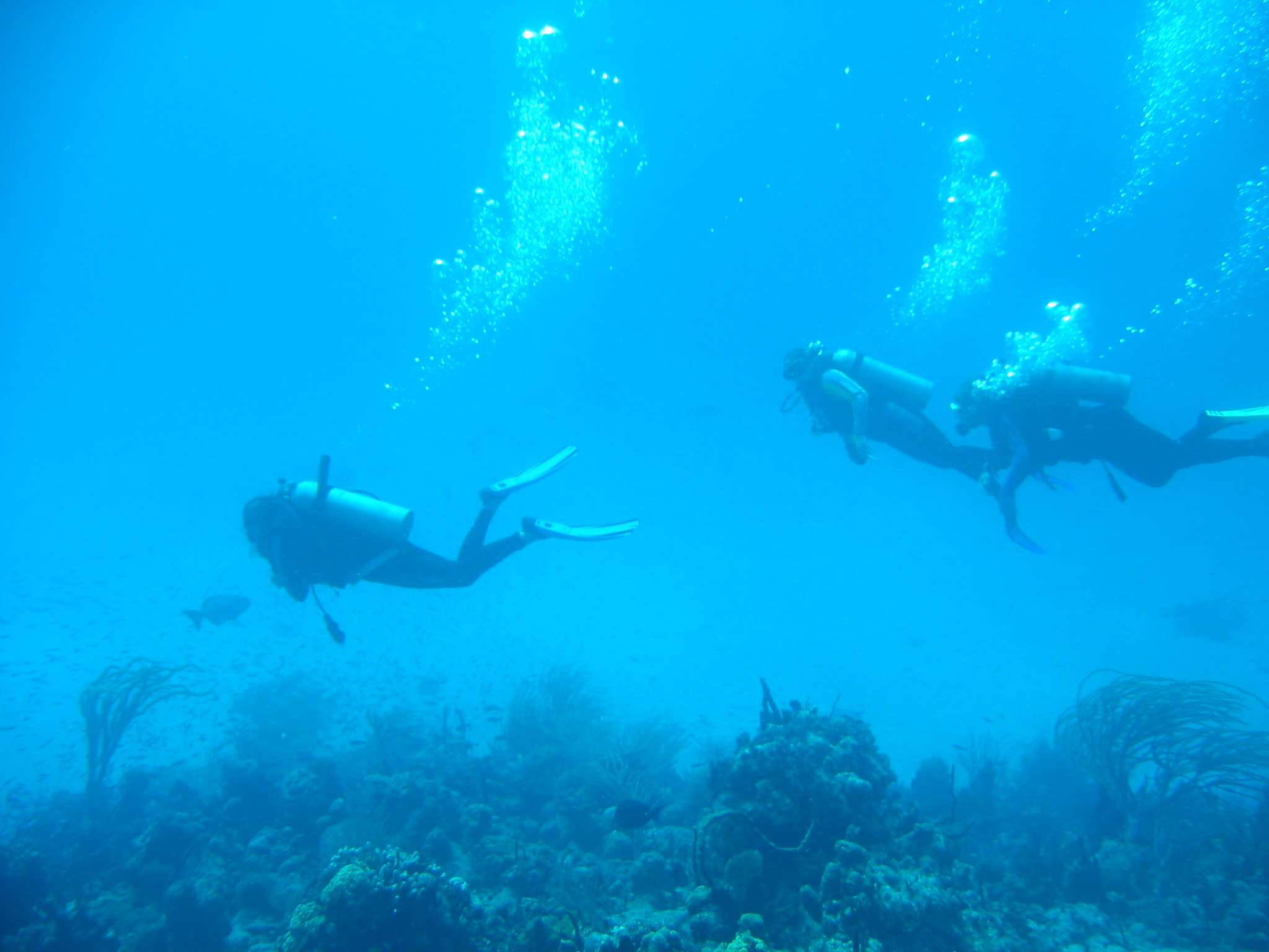 Nassau Diving