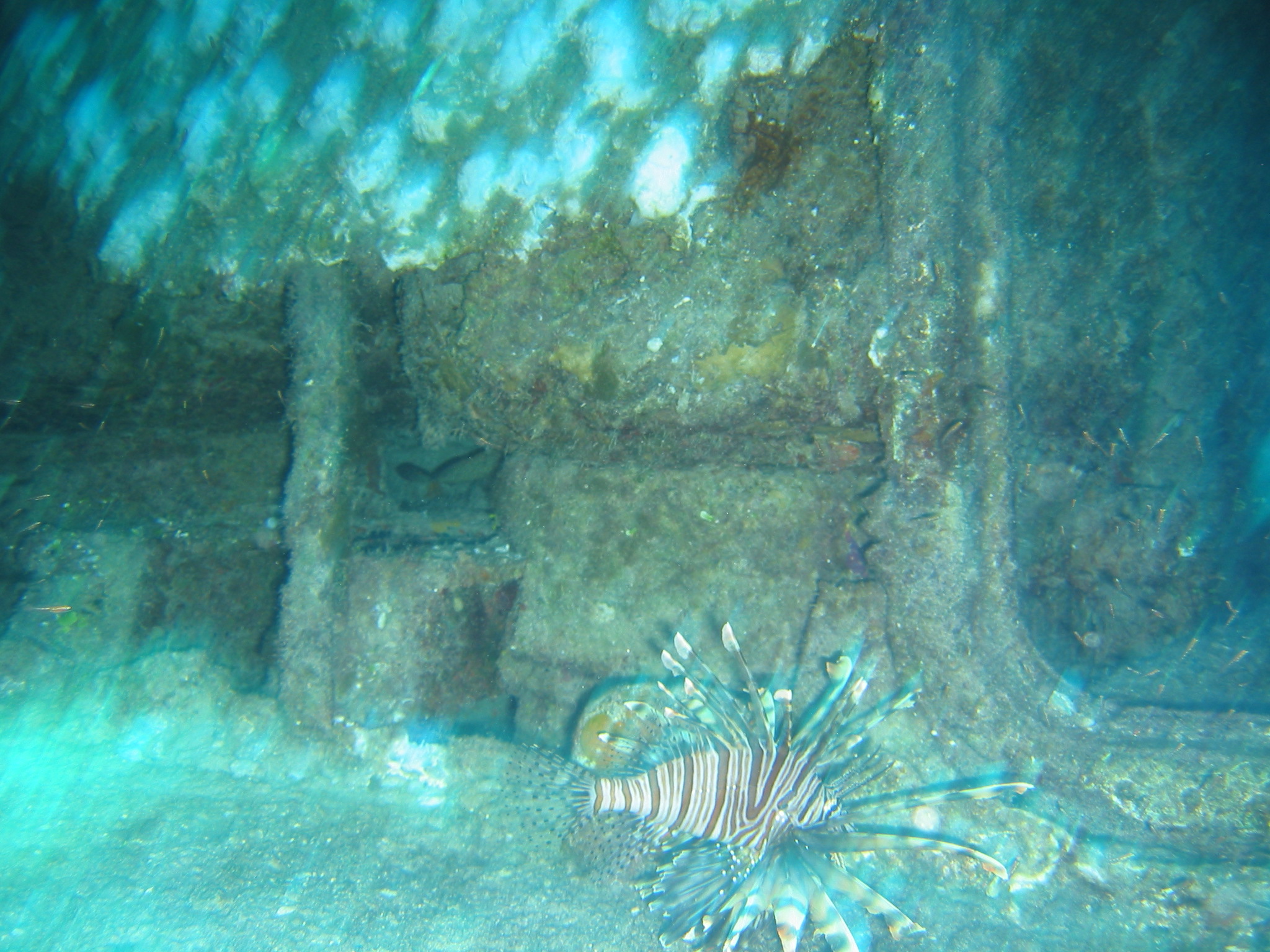 Nassau Diving