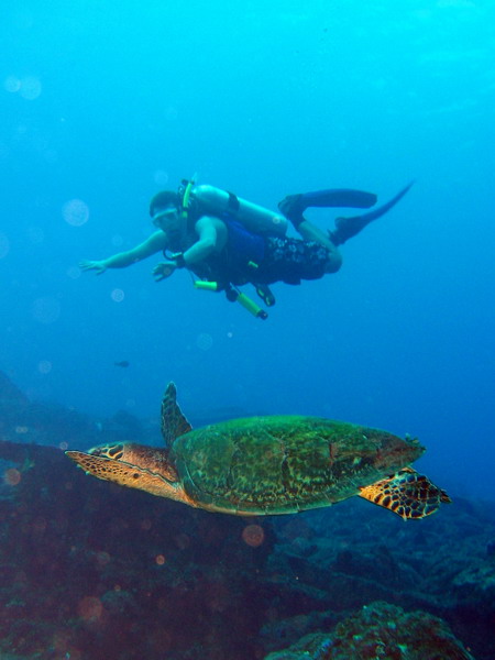 Nathan with Turtle