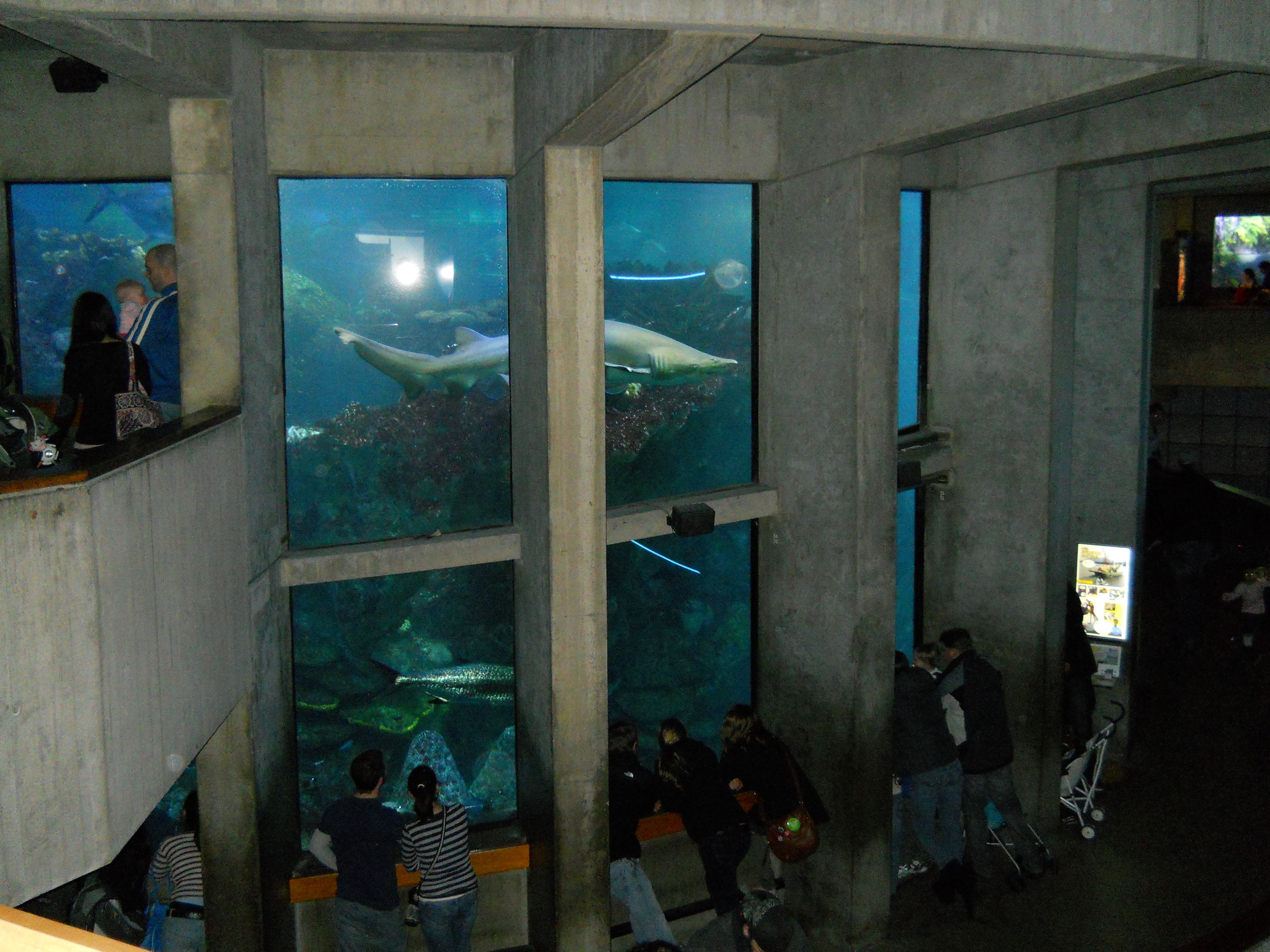 NE Aquarium