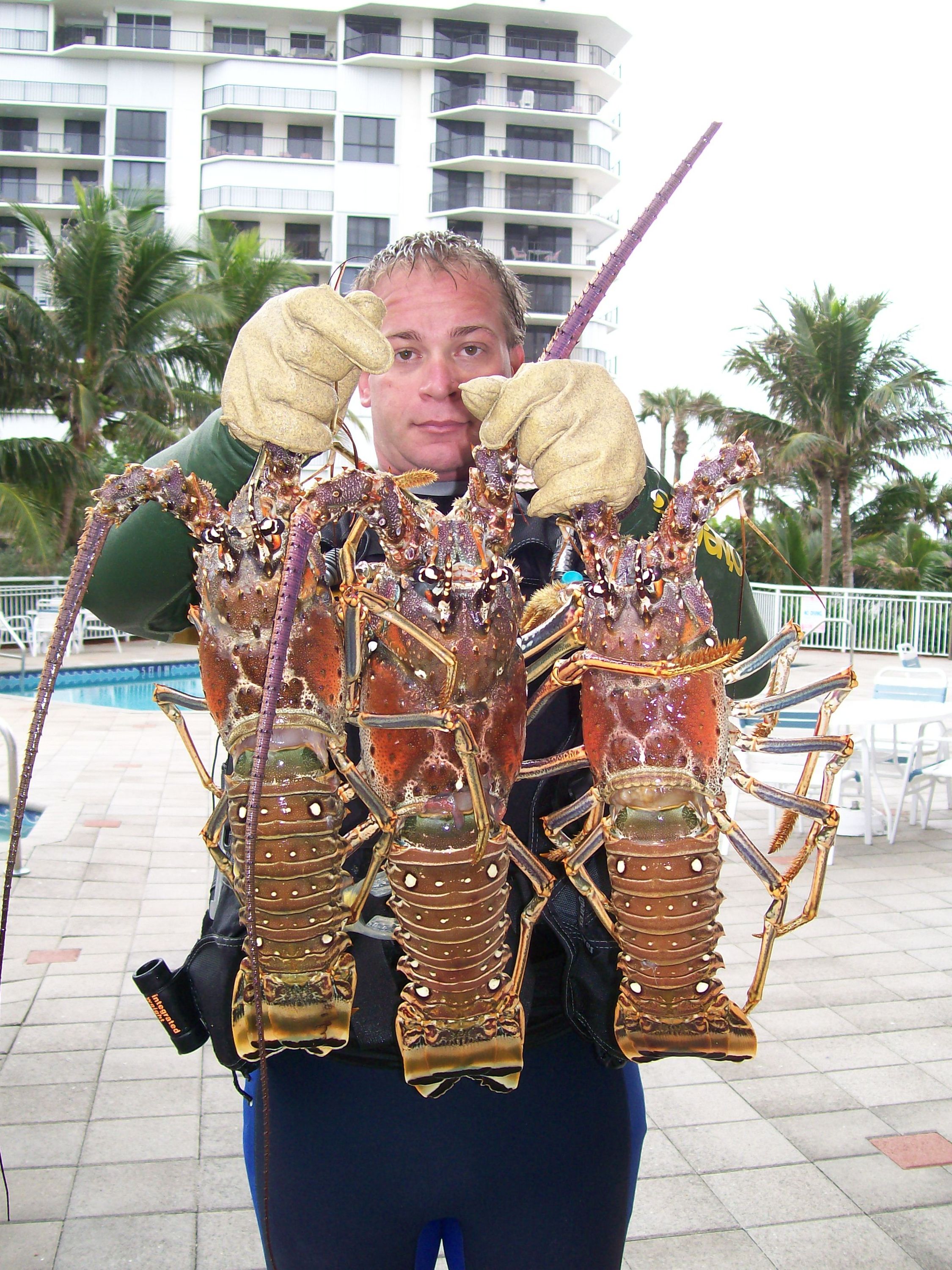 new years day beach dive 2