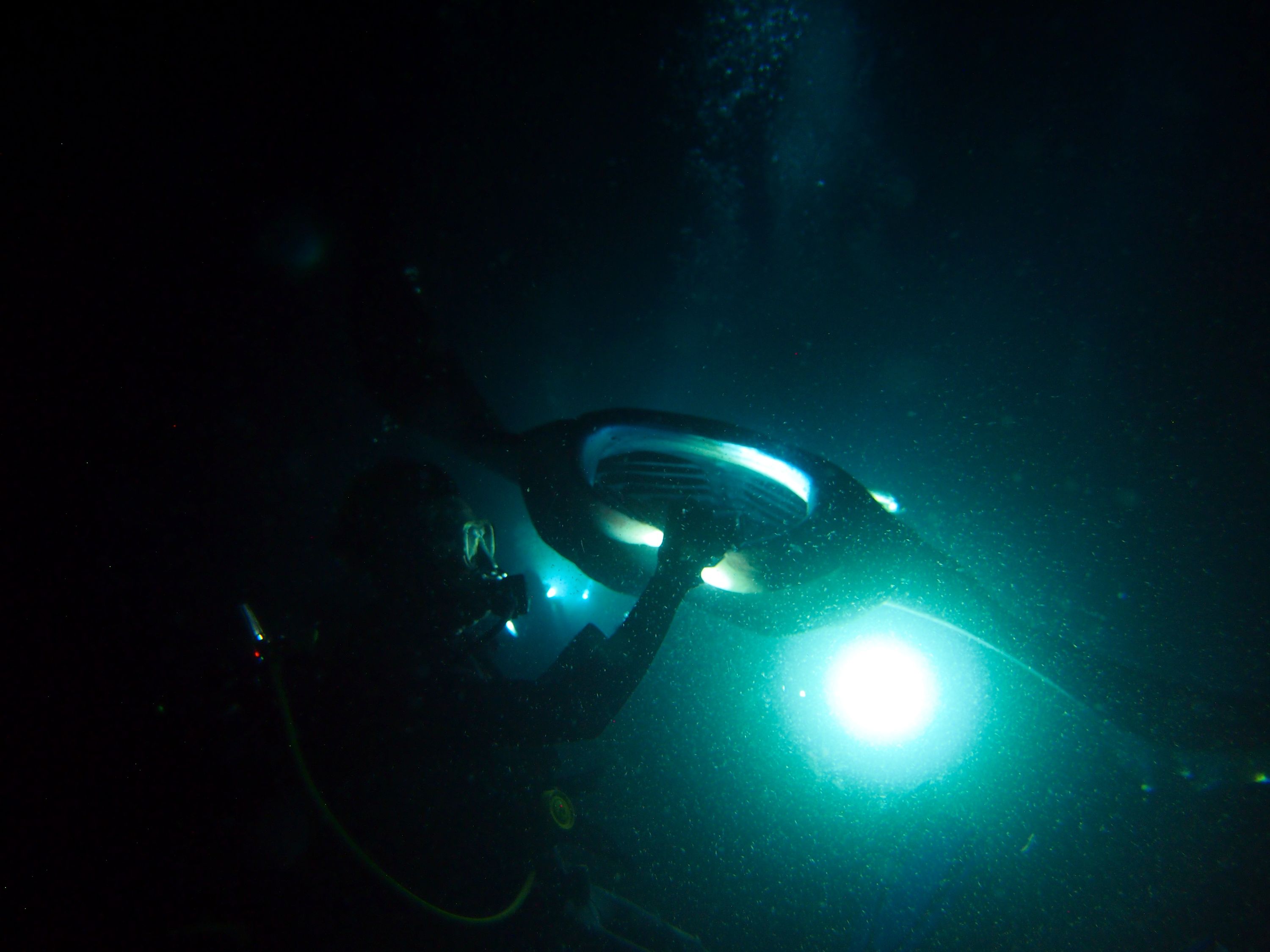 Night Manta Diver