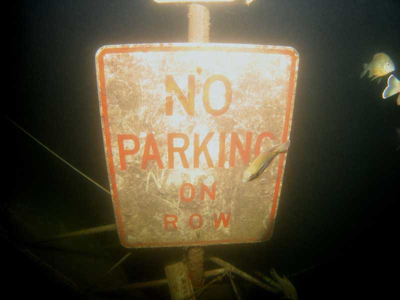 no-park