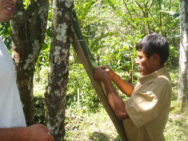 Now for our last stop the villiage of the Bri Bri tribe Watsi