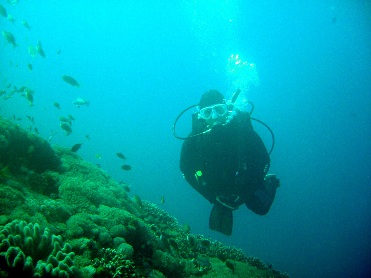 Nusa Penida Bali , Indonesia