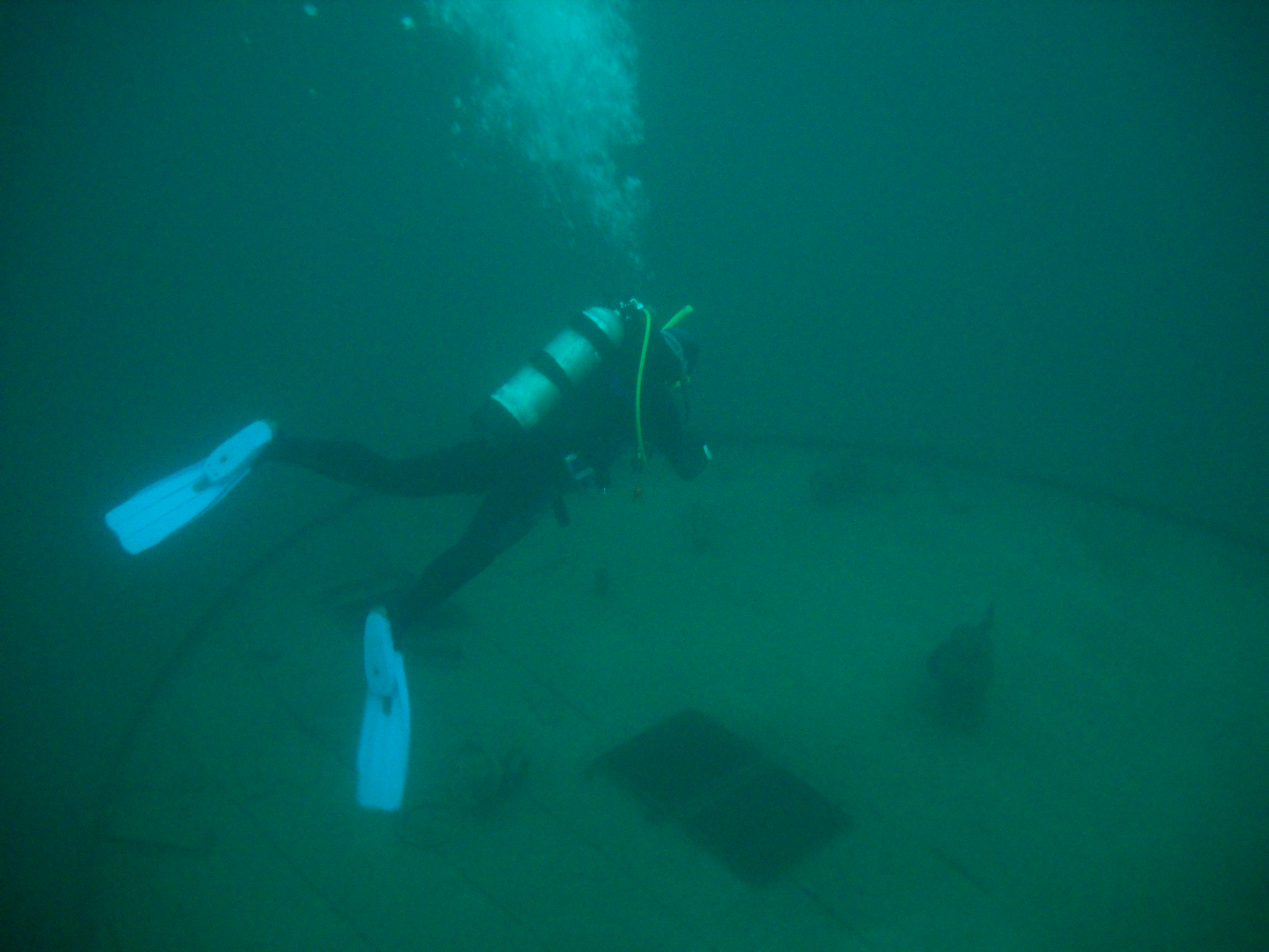 Oakville Diver school student openwater